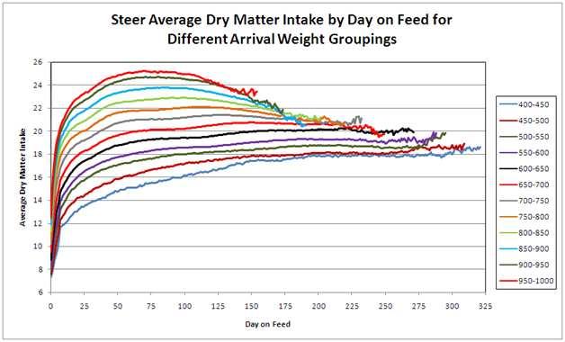 Lighter arrival weight cattle have a more steady increase in intake by days on