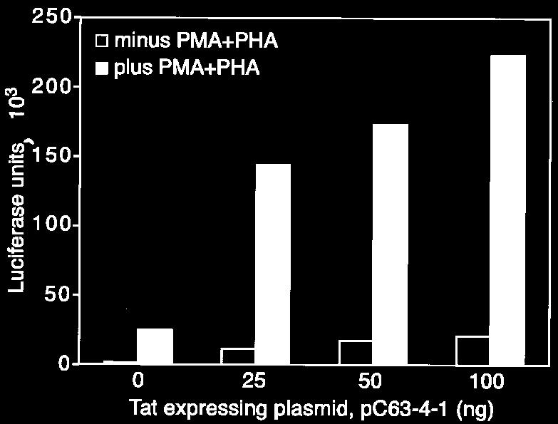 8528 WEST ET AL. J. VIROL. FIG. 2. Activation of transcription from the HIV-1 LTR in Jurkat cells stimulated by PMA and PHA in the presence or absence of Tat.