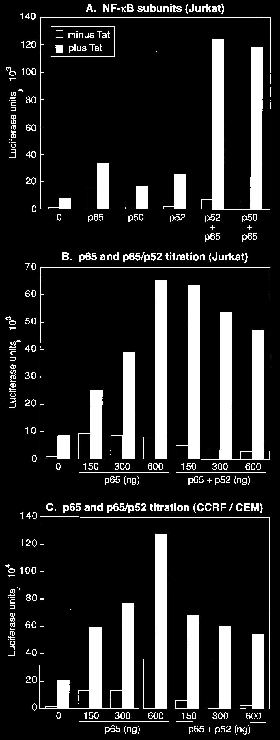 VOL. 75, 2001 NF- B p65 STIMULATES TRANSCRIPTIONAL ELONGATION 8531 FIG. 7. NF- B p65 stimulates transcription elongation.