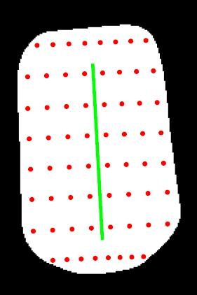 The right figure depicts the relative positions between the sampling points (red dots), the torso region (white mask) and the torso stick (green bar).
