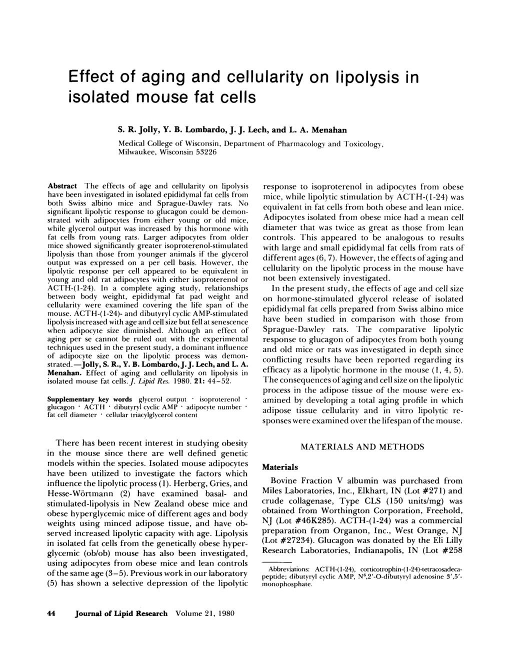 Effect of aging and cellularity on lipolysis in isolated mouse fat cells S. R. Jolly, Y. B. Lombardo, J. J. Lech, and L. A.
