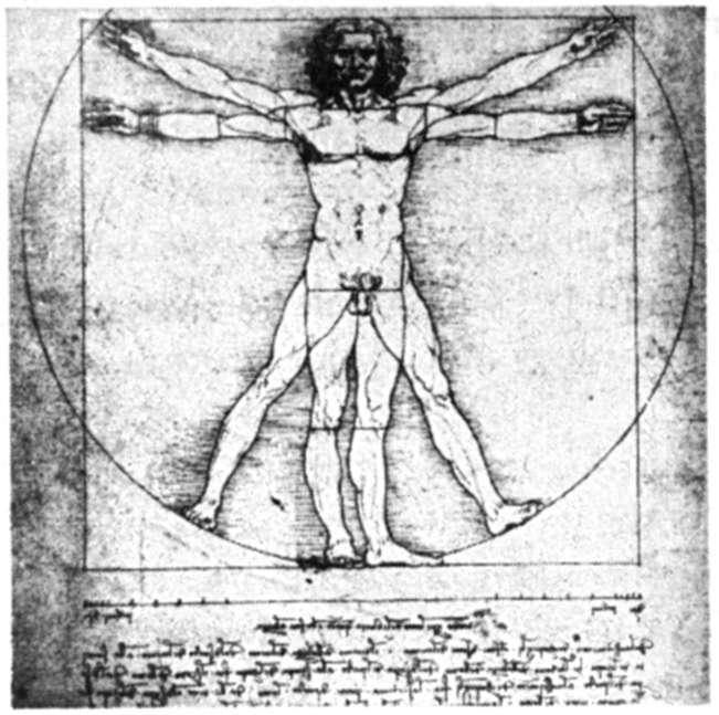 Vitruvian Man Meets the Scientific Method Writing and Testing Appropriate Hypotheses Leonardo da Vinci s drawing Vitruvian Man shows how the proportions of the human body fit perfectly into a circle