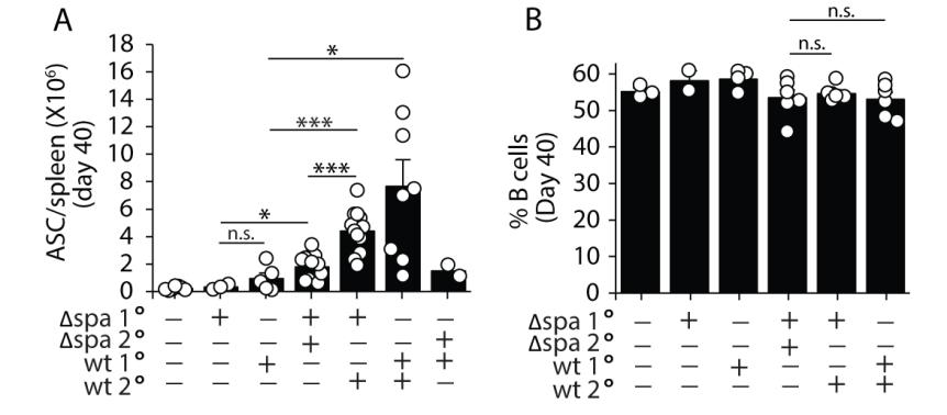 Supplemental Figure 3. 2 (A-B) Mice were inoculated s.c. with S. aureus RN4220 WT or Δspa and challenged 35 days later with S. aureus RN4220 Δspa or WT.