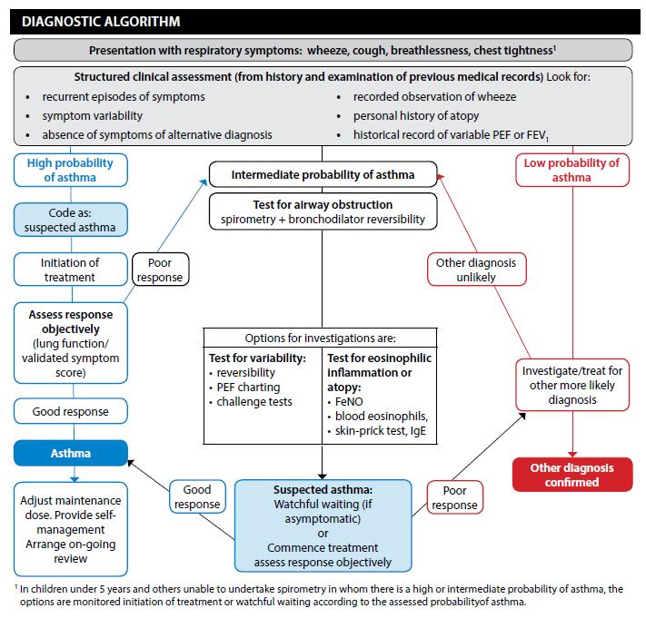 3 Diagnosis Chapter 3 (page 13) of the BTS/SIGN guideline covers diagnosis and monitoring of asthma and includes an updated diagnostic algorithm summarising the recommended approach to the diagnosis