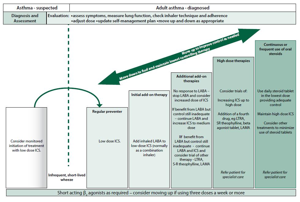 4.5.1 Step-wise management Central to the BTS/SIGN guideline is the well established step-wise approach to the management of asthma.
