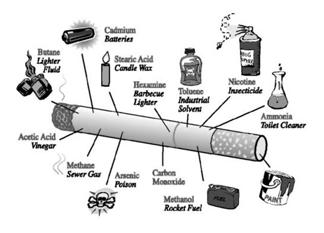 Contents of Cigarette Smoke http://www.ihec.org/content/smoking_cessation/index.shtml Impact of Smoking www.uoguelph.