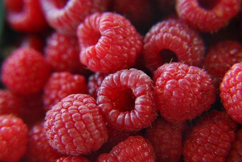 Raspberries Just about any type of berry will be encouraged in a diet but raspberries were emphasized by us for a reason.