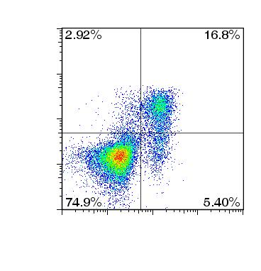 Helios Online Figure I gated CD4 + T cells (mediastinal lymph nodes) Foxp3 MFI Helios x 10 3 (gated CD4 + Foxp3 + cells) 2.0 * 1.5 1.0 0.5 0.