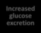 SGLT2 Inhibition Reduces Renal Glucose Reabsption Glucose filtration Glomerulus Proximal tubule S1