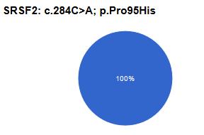 Challenges in data-interpretation RING TEST AML-MDS for data-interpretation Case4: Diagnosis of AML with 62 % blasts in