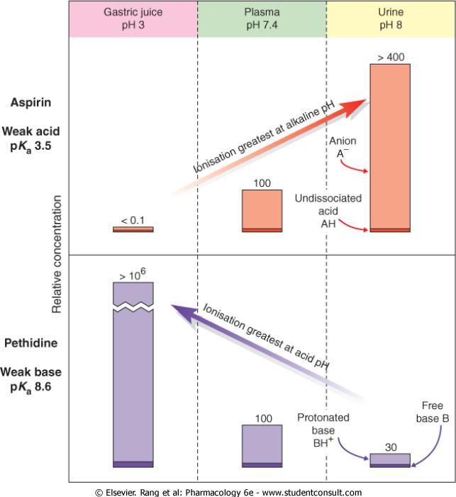 Figure 7-3 Theoretical partition of a weak acid (aspirin) and a weak base (pethidine) between aqueous compartments (urine, plasma and gastric juice) according to the ph difference between them.