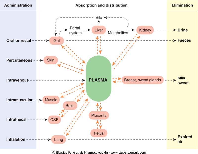 Figure 7-6 The main routes of drug administration and elimination.