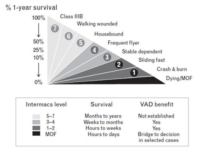 INTERMACS (Interagency Registry for Mechanically Assisted Circulatory Support) stages for classifying patients with advanced heart failure Long Term VAD Short Term VAD No VAD candidate: INTERMACS 1