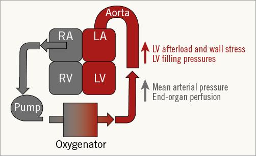 * * Afterload is more simply indexed by total peripheral