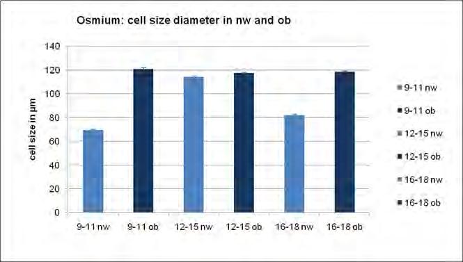 Cell size diameter in lean and obese subjects The maximum of mean diameter was compared between normal weight and overweight children and