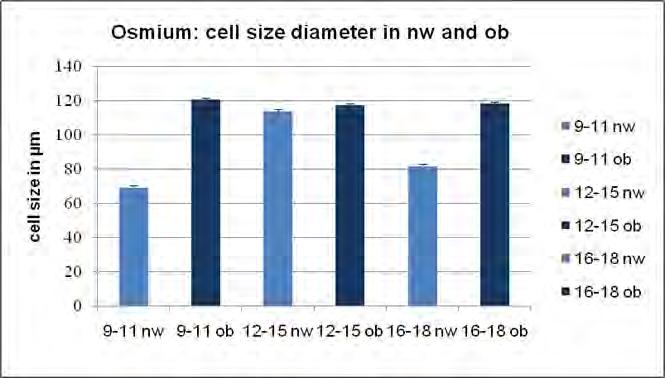 Cell size diameter in lean and obese subjects The maximum of mean diameter was compared between normal weight and overweight children and