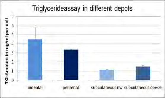 Triglyceride Assay The amount of Triglycerides were measured in adipocytes after