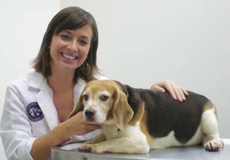 3 CREDITS Article 2 Canine Glaucoma: Medical and Surgical Treatment Options* Author Shelby L. Reinstein, DVM, MS, with Beasley at The University of Pennsylvania. Photograph by Holly Palin Shelby L.