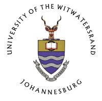 Faculty of Health Sciences, University of the Witwatersrand, Johannesburg in partial fulfillment of