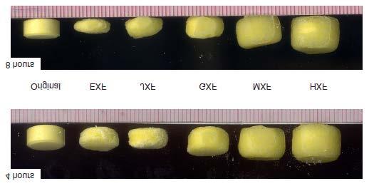 Page 4 of 7 Figure 4 Effect of Fine Particle Klucel HPC MW on Erosion and Swelling Behavior Nifedipine Matrix Tablets Subjected to Dissolution Testing for 4 and 8 Hours (Ruler shows 1mm spacing).