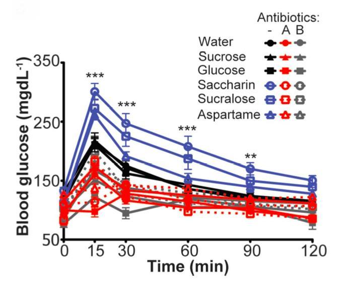Antibiotics reverse the effect of artificial sweeteners A, Ciprofloxacin &