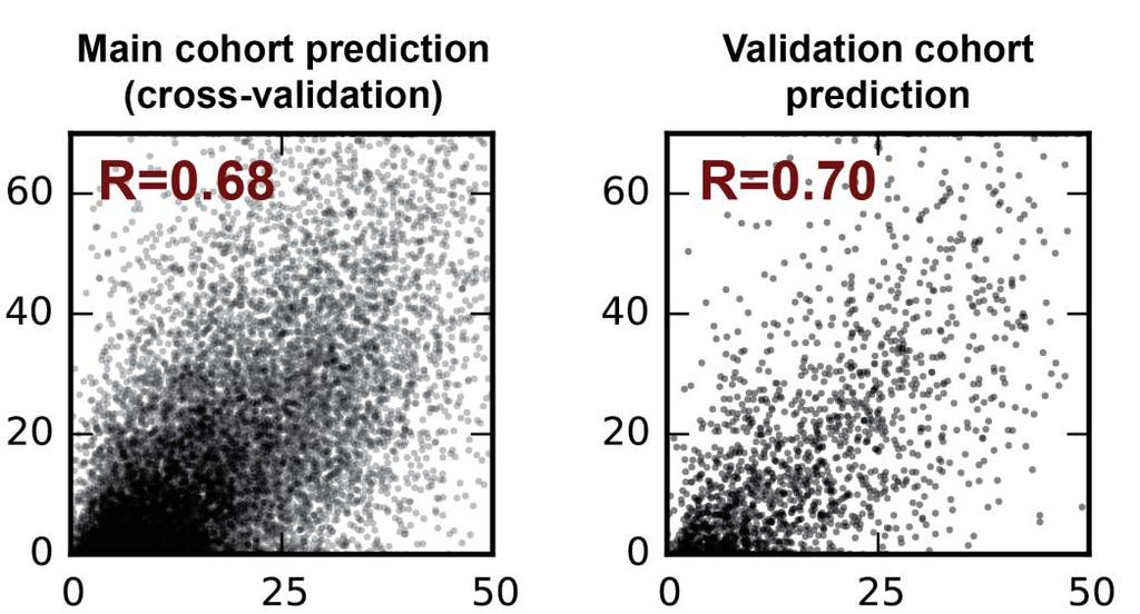 Prediction validation 100 participants Meal carbohydrates (g)