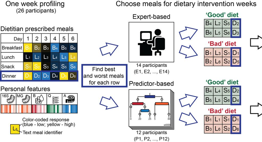 Constructing personally tailored diets that achieve