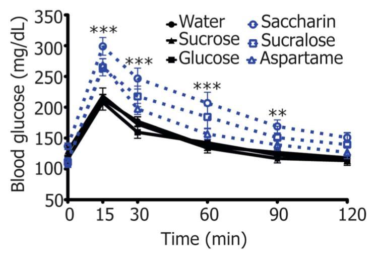 Artificial sweeteners induce glucose intolerance in mice Lean mice