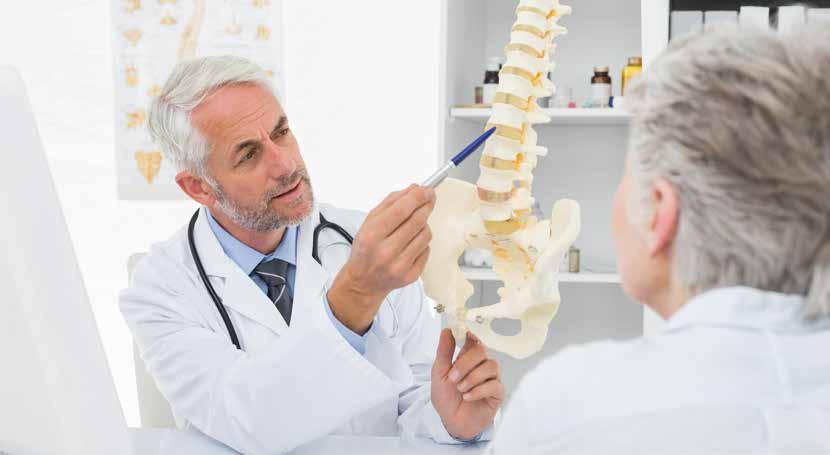 1. ANATOMY OF THE SPINE The spine is one of the most important structures in the human body.