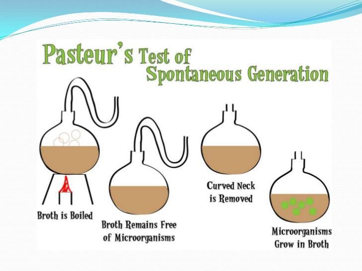 PASTEUR Louis Pasteur was born in Dole, France on December 27, 1822. His family was poor and during his early education he was an average student who enjoyed art and singing.