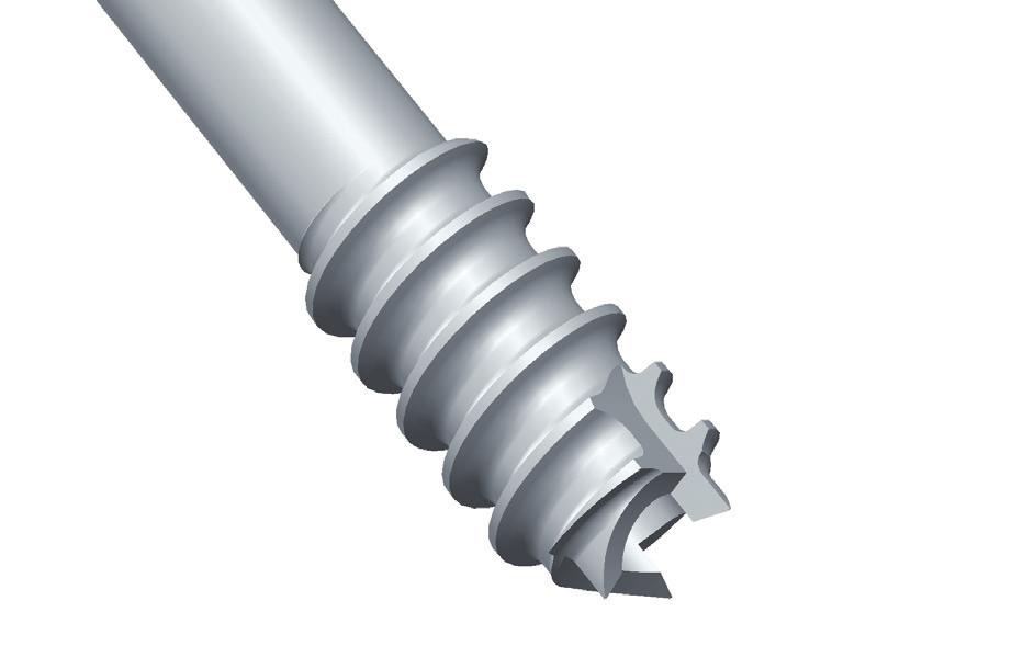 MAGNEZIX Compression Screw 3.2 Advantages and features 7 Absorbable Magnesium Alloy MAGNEZIX makes any subsequent implant removal obsolete, and moreover, it supports the osseous healing process.