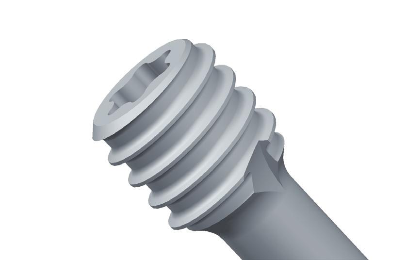 Self Tapping screw tip The self tapping properties of the screw tip reduces operating time and simplifies the surgical technique.