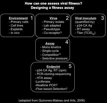 In selecting the appropriate assay for viral fitness determinations, there were a number of limitations and concerns. A few of these experimental decisions are shown below (Figure 9).