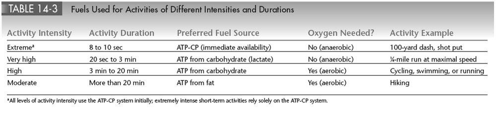 What are the Fuels the Body Uses for Activities?