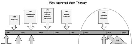 19 Key Concepts for Gout Management Acute