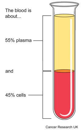 of cells Plasma: 55% Platelets: <1% White