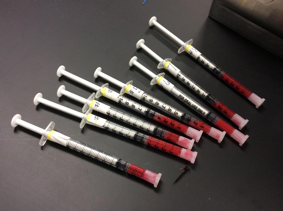 Blood Samples Sampled 60 individuals Typed each