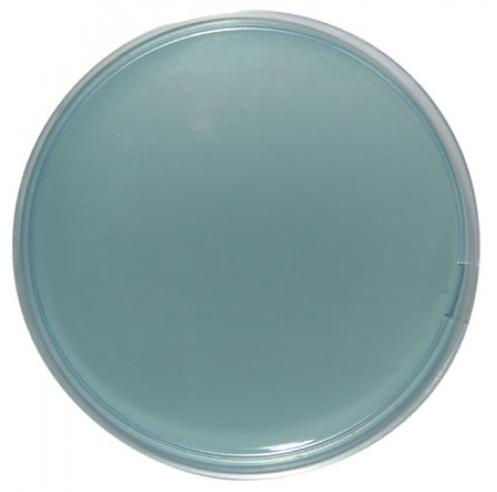 media culture: 1. Main Media CLED Agar is an abbreviation for Cystine Lactose Electrolyte-Deficient Agar. It is a type of differential medium recommended for diagnostic urinary bacteriology.