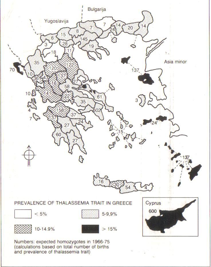Incidence of thalassemia trait in the Greek population β-thalassaemia trait7.4% α-thalassaemia trait 8.