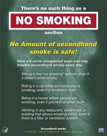 Eliminating Exposure Smoke free policies fully protect nonsmokers Cleaning the air or