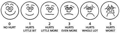 Pain Scale (Taken from