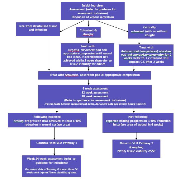 Venous leg ulcer pathway Provides an evidence based