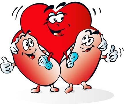 Kidney and Heart Disease: Intertwined About 70% of patients with chronic kidney disease have some form of heart disease The risk of having a cardiac