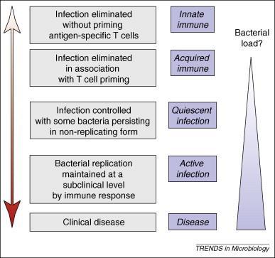 Latent TB Infection (LTBI): Not Really