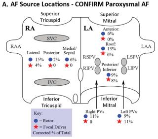 CONFIRM Trial Stable AF sources lie in patient-specific locations with
