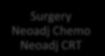 Palliative tx Surgery Neoadj Chemo Neoadj CRT M0