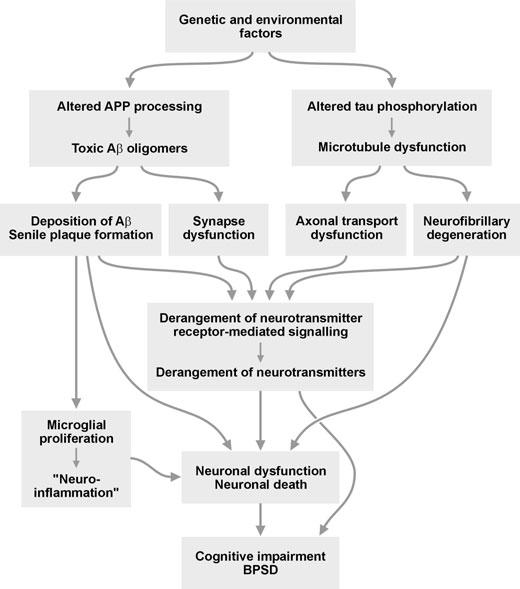 J. Cell. Mol. Med. Vol 16, No 5, 2012 Fig. 1 scheme of the interplay of neurochemical and neuropathological factors in the pathogenesis of AD and its neuropsychiatric disorders.