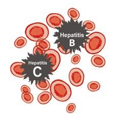 1. Who is at risk of hepatitis B and C?