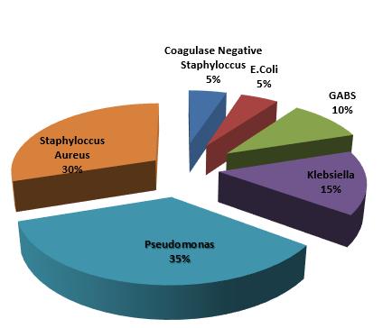 Recurrent Acute Tonsillitis - The Core Issue 3 Fig. 1 Age distribution of patients between throat swab and core tissue culture.