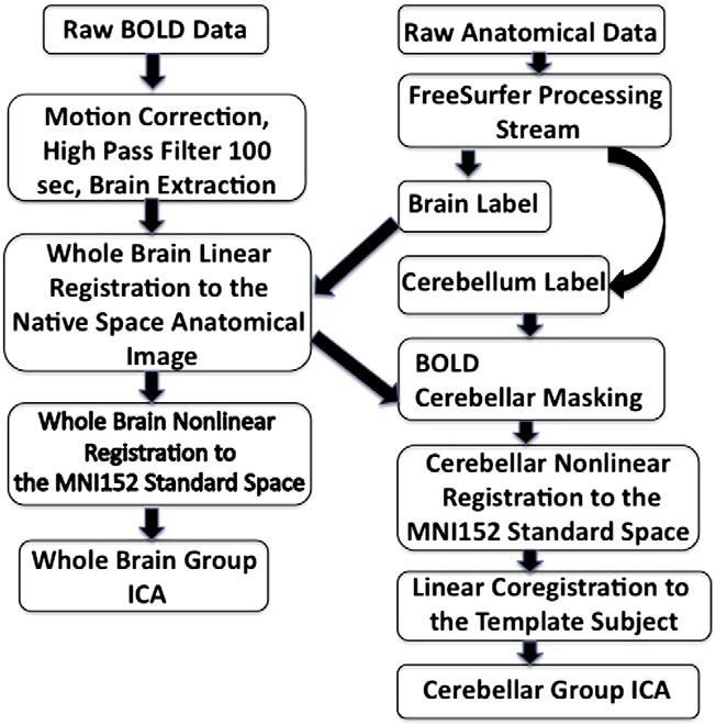 2074 V.I. Dobromyslin et al. / NeuroImage 60 (2012) 2073 2085 neuroimaging was applied to the study of connective anatomy.